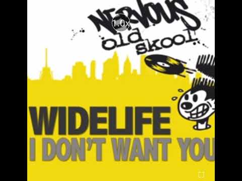 Widelife feat. Simone Denny - I dont want you (Nylson Wash Unreleased Mix)