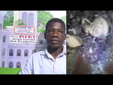 Des asticots envahissent sa maison