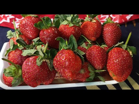strawberry  Mahejabeen Islam YouTube channel