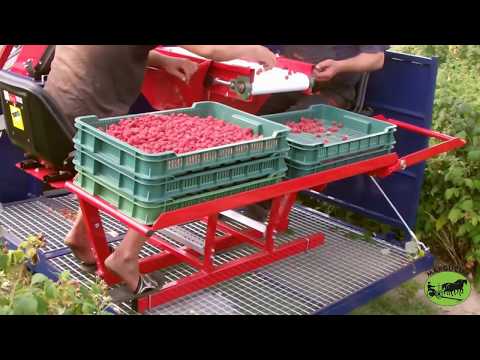 „Jagoda“ Uogų skynimo kombainas JAREK 5