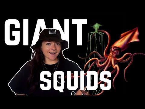 Real Cryptids: GIANT SQUID!