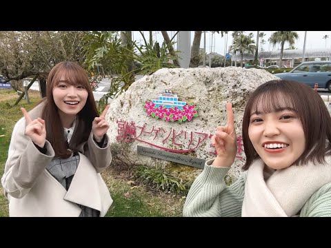 【Vlog】Go To サクラ旅　～全国の桜名所巡り　時々メシ in 宮崎～