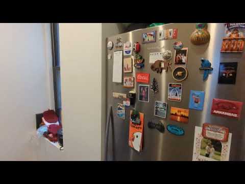 video 1