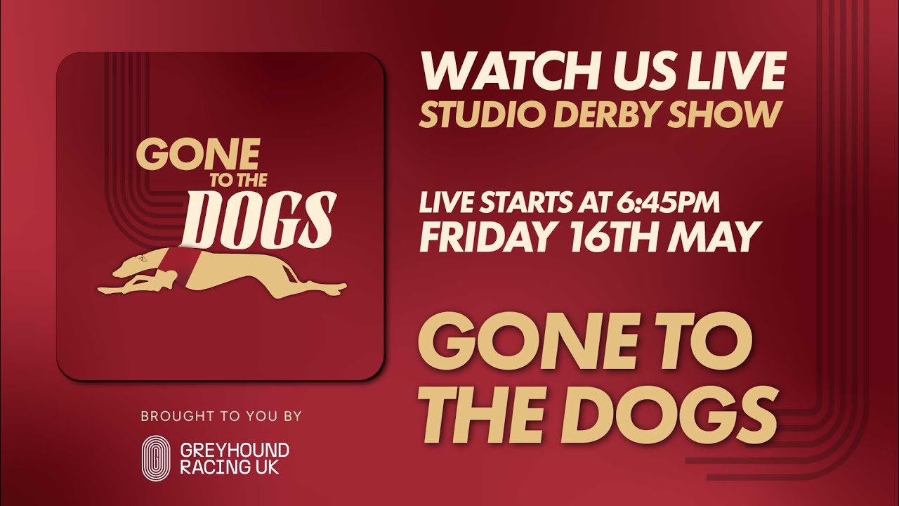 Gone to the Dogs - Live! Studio Derby Show 16th May