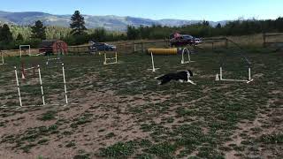 Download lagu Rio VT Sadie Elite Reg 4 mp3 Download lagu Rio VT Sadie Elite Reg 4 mp3