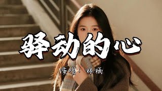 Download lagu 林栖 - 驿动的心『路过的人 我早已忘记 经过的事 已随风而去 驿动的心 已渐渐平息。』『动态歌词MV』#翻唱 #推荐好听的歌曲 mp3