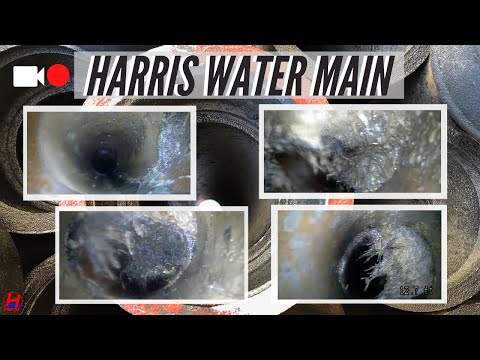 How to Permanently fix Root Growth in Your Sewer Line