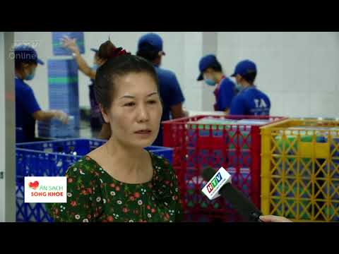 Ăn sạch sống khỏe l Quản lý chất lượng bếp ăn công nghiệp tại TP.HCM l HTV