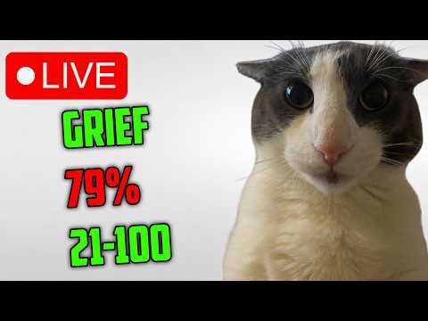 🔴 GRIEF 80%, 79% // 45%+ x27 🔴 21-100% 🔴 Stream 12 :3