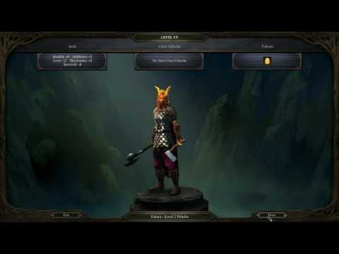 Pillars of Eternity Evil Playthrough in Hard (HD) - 2nd Level