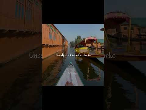 Alfaaz 🪷 - Hamza Malik, Zain Zohaib | Aesthetic Lyrics