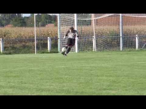 forstfeld steinseltz