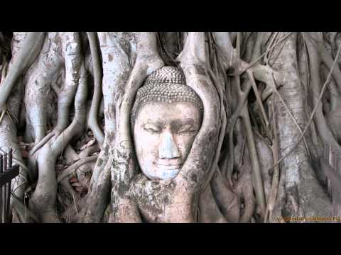 DJ Duma - The Passion (Bon Voyage Remix)