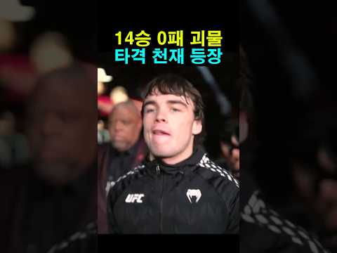 14승 0패 UFC 타격 천재 등장 ㄷㄷ