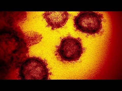 NJ Essex County Rise In COVID–19 BA–2 Cases