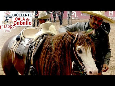 2022 Zacatecas Congress - Excellent Cala de Caballo - Rancho San Isidro (semifinals)