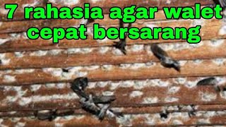 Download lagu 7 SECRETS TO GETTING RBW TO PRODUCE MANY NESTS QUICKLY mp3 Download lagu 7 SECRETS TO GETTING RBW TO PRODUCE MANY NESTS QUICKLY mp3