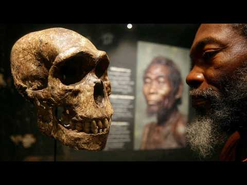 Does This Fossil Skull Prove The Out of Africa Theory?