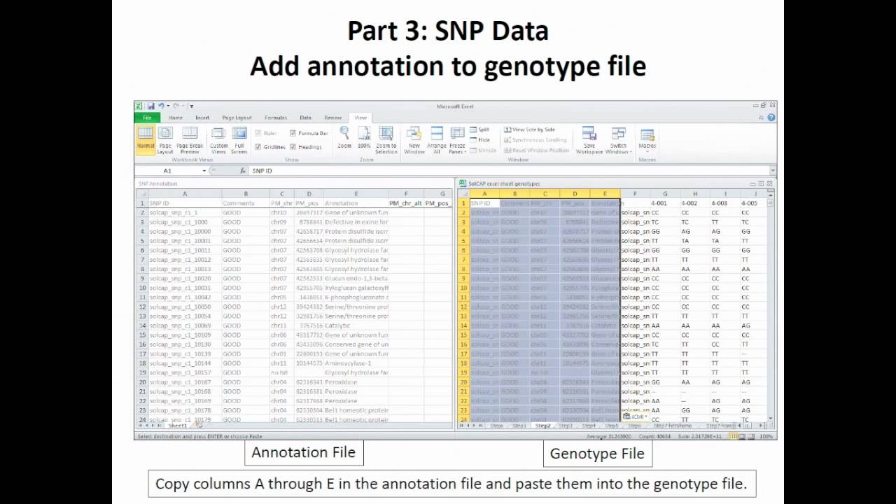 What To Do When your SNP Data Set Arrives: A Case Study