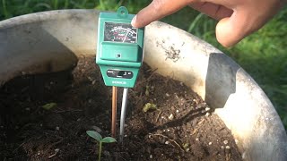How to Make Soil Acidic and Raise or Lower pH Level of Soil