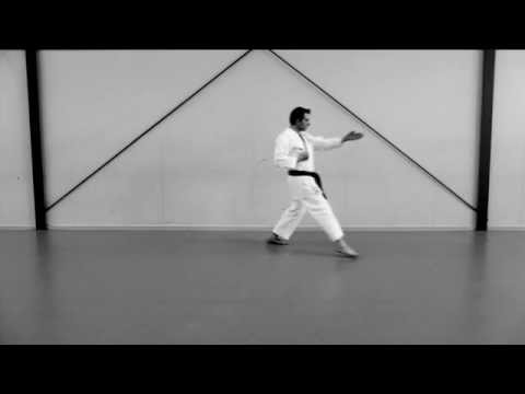 Kata Taikyoku Mawashi Uke Ich