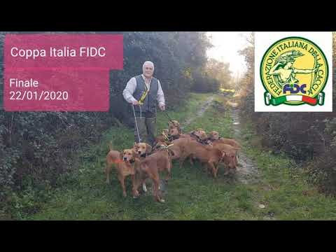 Finale Coppa Italia FIDC Mute cat.A