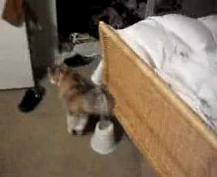 Mary Kate and Ashley