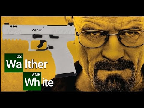 Walther WMP .22 WMR First Shots, First Major Problem🫤☹️😡