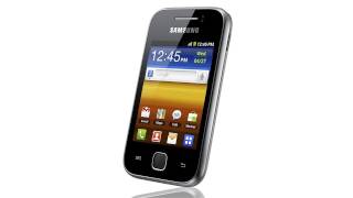 Samsung Galaxy Y S5360