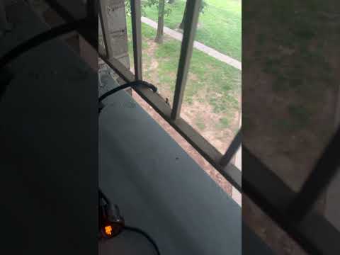 Innovative wideband Gauge help