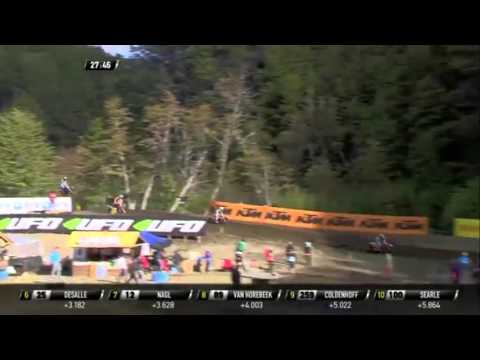 Crash Romain Febvre 2016 - MXGP ARGENTINE 2016