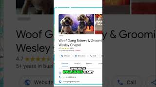 How to Create a High-Impact Google Business Profile That Drives Bookings?