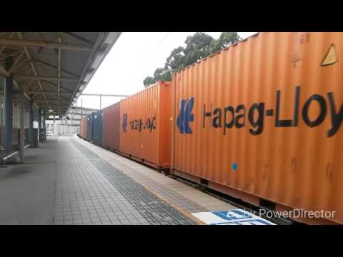 Trains @ Gosford and Wyong