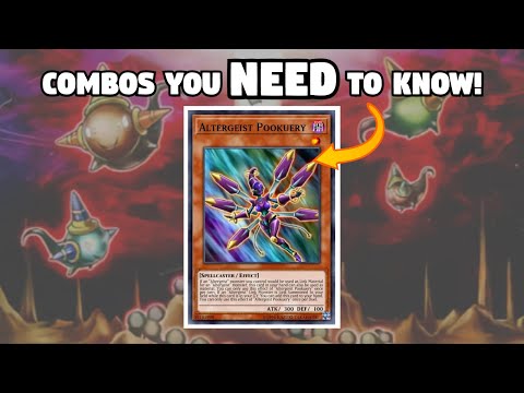 Altergeist Combos You NEED to Know! (Post BROL)