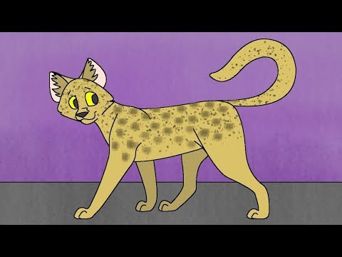 download lagu mp3 mp4 Foxy Cat, download lagu Foxy Cat gratis, unduh video klip Foxy Cat