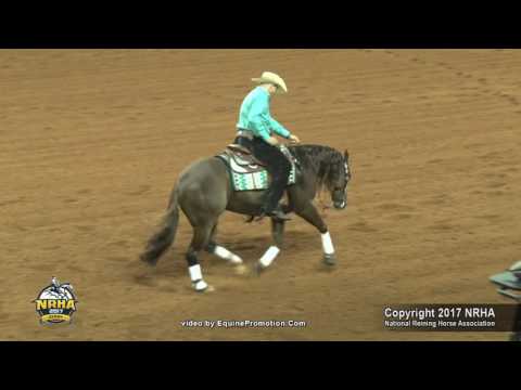 Gunnafoolya ridden by Arno Honstetter  - 2017 NRHA Derby (Open Derby Finals, Sec. 2)