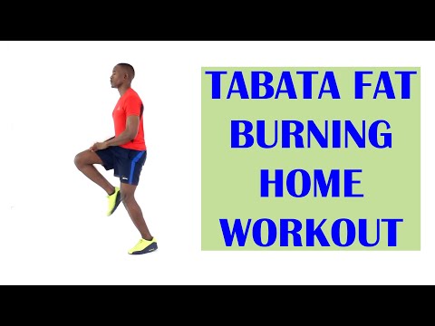 Everyday Workout for Beginners at Home 10 Minute Intense Home Workout