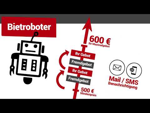 Kleine Zeitung Online-Auktion - Mitbieten