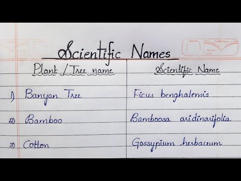 Scientific Names of some plants and trees 🌳//#education #scientificnames #science