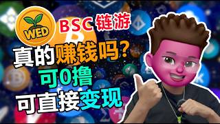 🌱【0撸变现】BSC链游新宠！种树项目wev/wed｜限时免费领20U全攻略｜在wedgame种下自己的第一颗摇钱树｜红孩儿redman