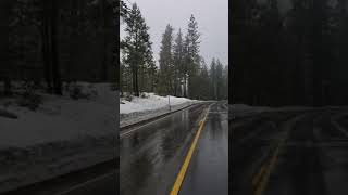 BRONSON ARROYO - PLUSH ( STONE TEMPLE PILOTS) @ SHAVER LAKE (SHOWING)