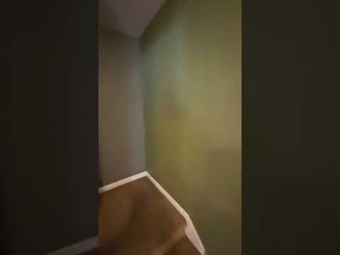 ****AVAILABLE AUGUST 2027**** Large 3 bed, 3 bath House with fenced yard property video