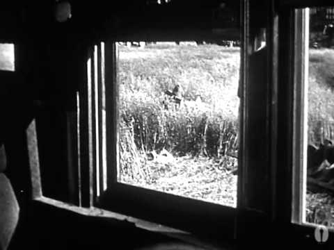 "A Chili Romance:" From the Academy Film Archive