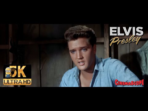 Elvis Presley AI 5K Restored - Sound Advice UHD (1962) Remastered Stereo