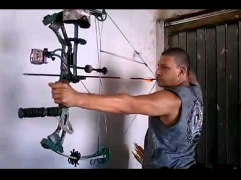 Tiro com arco Freed Bear