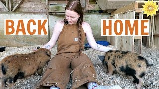 FROM CITY BACK TO COUNTRY | CHICAGO DAYS 3 & 4 | MEGHAN HUGHES