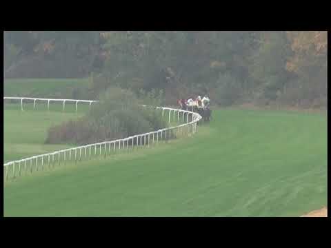 KV, 28. 9. 2017, 1. dostih - Cena EBF - KARLOVARSKÉHO DENÍKU