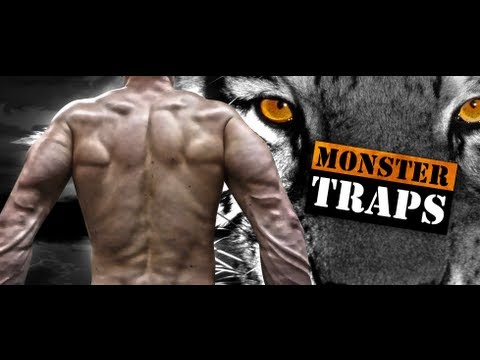 Muscular Strenght Title