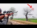 Best Bird Hunting Video with a Pellet Gun