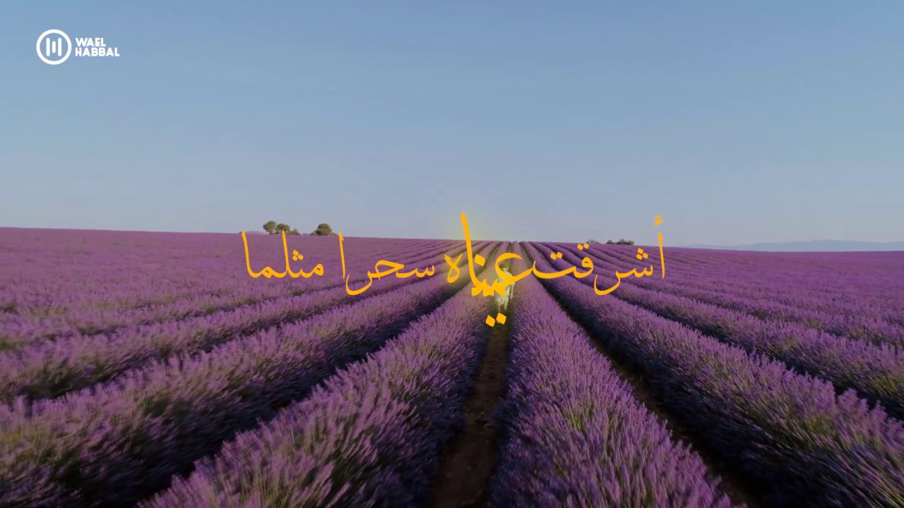ياحبيبي كلما هب الهوى